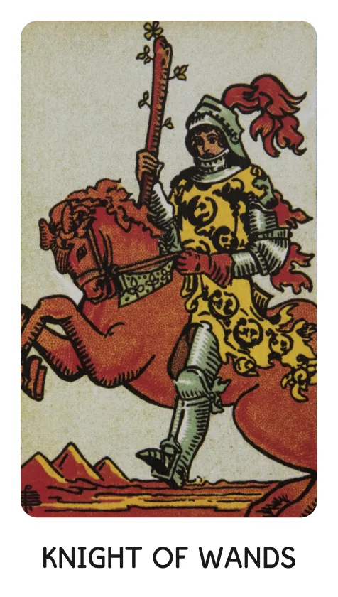 Cavaleiro de Paus